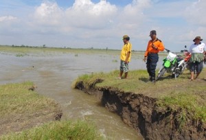 JEBOL : Petugas dari BPBD Demak, Suprapto dengan motor trail bersama warga saat mengecek tanggul jebol di Desa Kenduren, Kecamatan Wedung, kemarin. (WAHIB PRIBADI/JAWA POS RADAR SEMARANG)