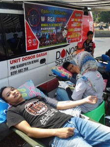kopdar3
