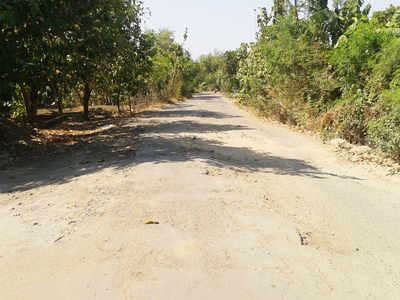 Woow !!! Jalan Ngemplik  Desa Jungpasir Demak Masih Rusak