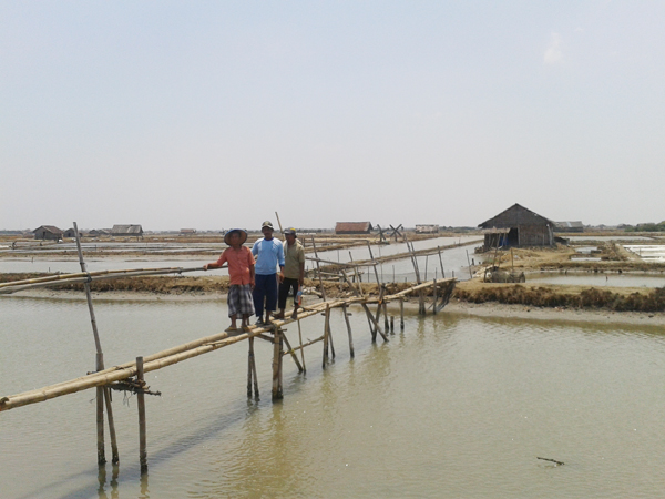 Petani Tambak Garam Demak Harapkan Jembatan Permanen