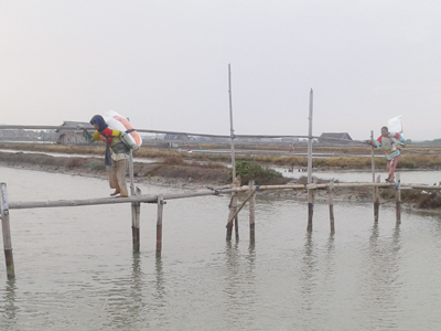 Petani Garam Demak Harapkan Jembatan Permanen