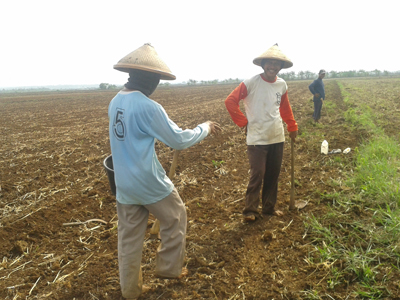 Petani Desa Sowan Kidul Harapkan Irigasi dan Jalan Pertanian