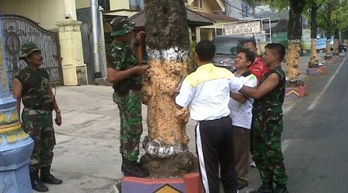 Gerakan Cabut Paku Di Pohon Wujud Sayang Pada Tanaman