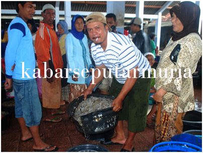 Udang Tambak Bisa Di Beli Di Pasar Ikan Kedungmutih Demak