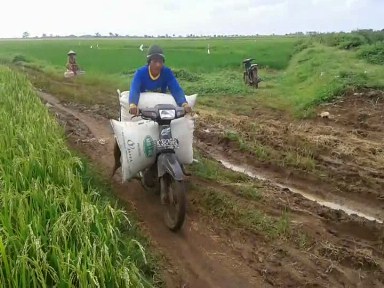 Jalan Pertanian Buruk Petani Kesulitan Angkut Hasil Panen