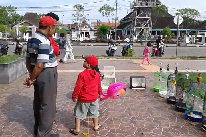 Penggemar Burung Love bird Demak  Gelar Kopdar di Alon-Alon