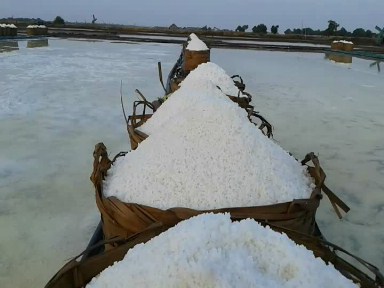 Wow !!!!!! Garam Krosok Demak Dikirim Hingga Ke Sumatera Raya