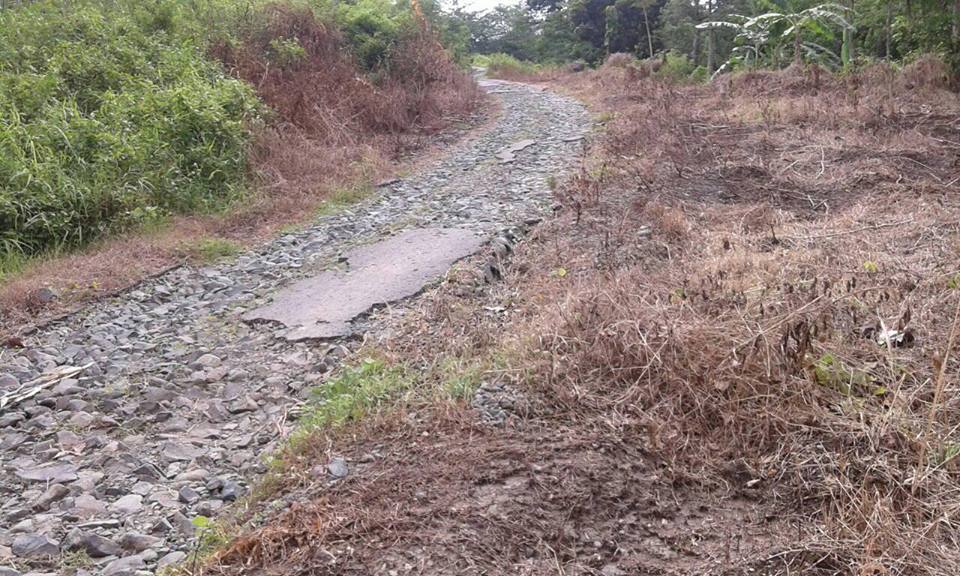 Jalan Desa Sumberrejo Donorojo , Puluhan Tahun Rusak Parah Belum Ada Perbaikan