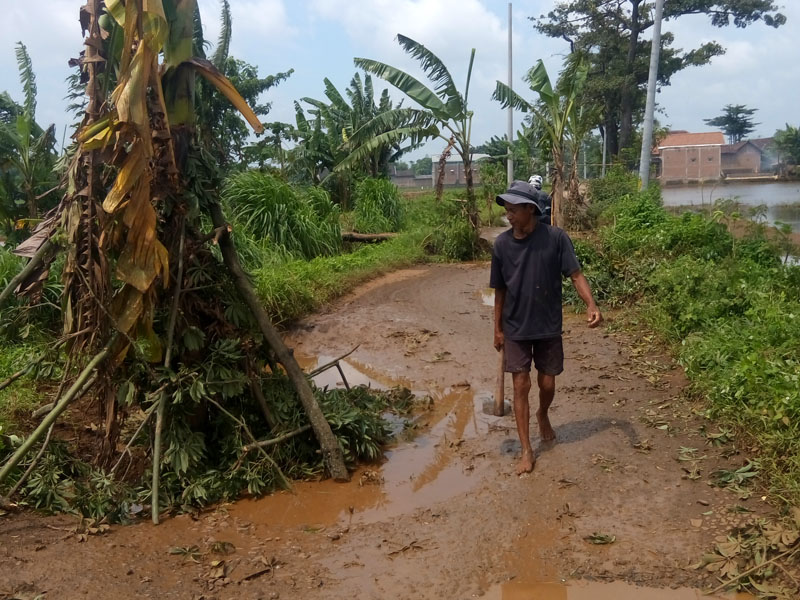 Warga Desa Kuanyar Mengeluh , Jalan Seperti Kubangan Kerbau