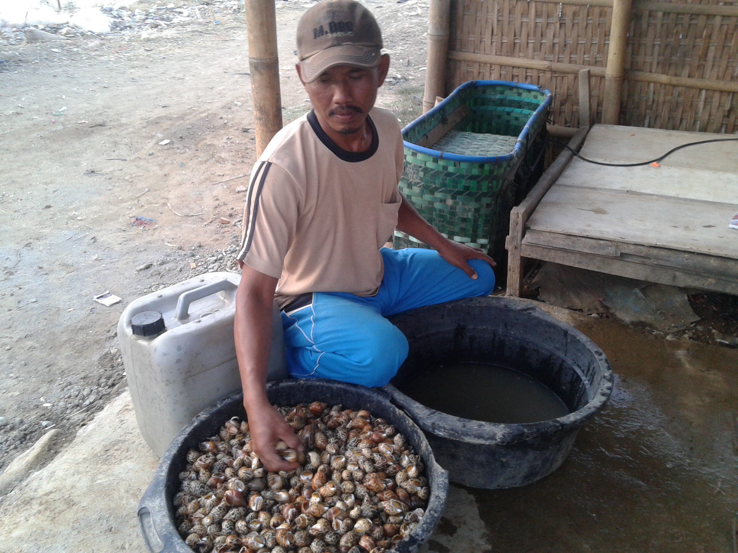 Bang Muin Pengepul Hasil Laut Dari Desa Kedungmutih Demak