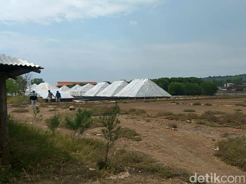 Rumah Garam Prisma, Solusi Petambak  Garam di Musim Hujan