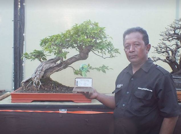 Zuliadi Ahmad Petani Bonsai Demak , Berharap Petani Bonsai Di Demak Semakin Semarak