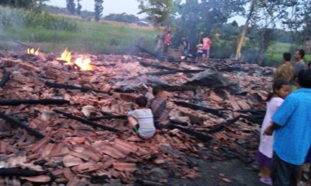 7 Rumah Di Desa Brambang Ludes dilalap Api Dugaan konsleting listrik