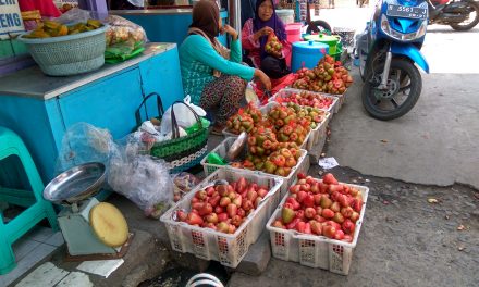 Kunjungi Demak , Jangan Lupa Beli Jambu Citra dan Delima