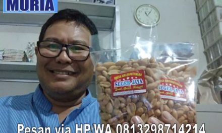 Kacang “ Plinis “ Olahan Warga Desa Mutih Wetan Demak ini Wenak  dan Murah