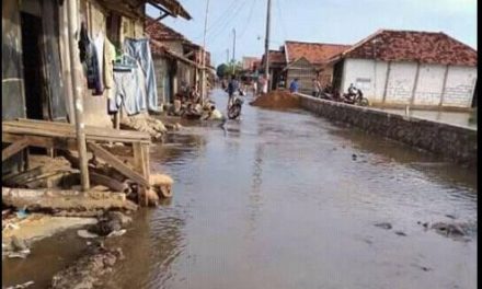 Desa Babalan Dan Kedungmutih Demak  Darurat Rob, 2 Tahunan Rob Meninggi Genangi Perkampungan