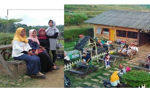 Di Desa Kelet Jepara , Kini Ada Angkringan Rolet di Tengah Sawah