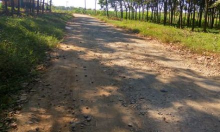 Jalan  Desaku  Rusak Berat ,    Aktifitas  Warga Terhambat