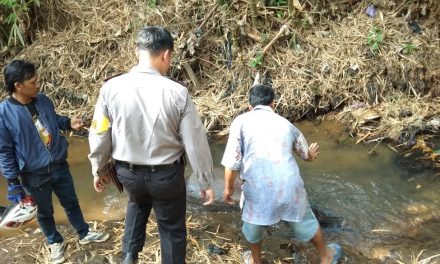 Jelang Lebaran Di Jepara Ada Kerbau Ngamuk Dilumpuhkan WaKapolres