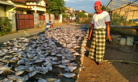 Pak Harto Petambak Garam Demak , “Nyambi” Usaha Pengeringan Ikan