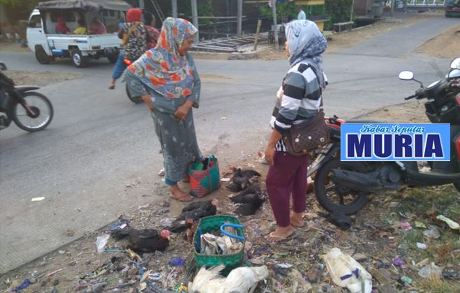 Jual Beli  Ayam kampung , Hasilnya Bisa Kuliahkan Anak Ke Perguruan Tinggi