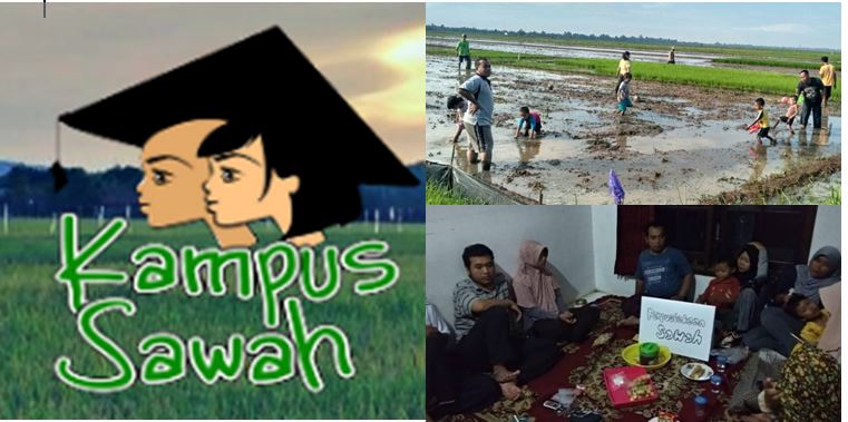 Di Desa Karangrandu Jepara Ada Kampus Sawah , Menebar Pembelajaran  Lewat Lahan Pertanian