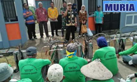 Babinsa Kodim Demak Dampingi Petani Dalam Penyuluhan POPT