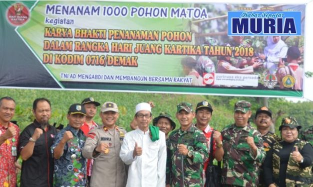 WIH !!! 1000 POHON MATOA  DITANAM DI DESA   DI DESA JRAGUNG DEMAK