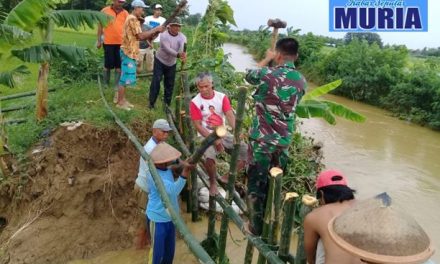 Babinsa dan Warga Gotong Royong Perbaiki Tanggul Desa Bogotanjung Pati Yang Jebol