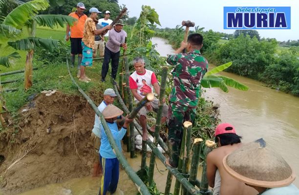 Babinsa dan Warga Gotong Royong Perbaiki Tanggul Desa Bogotanjung Pati Yang Jebol