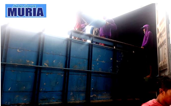 Petambak Garam Demak Keluhkan , Harga Yang  Terus Turun