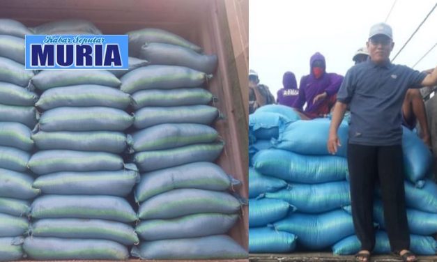 Beredarnya Garam Impor di Pati , Petambak Garam Demak Was-Was
