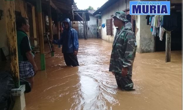 Ratusan Rumah Warga Alas Dowo Pati Tergenang Air , Akibat Luapan Air Sungai