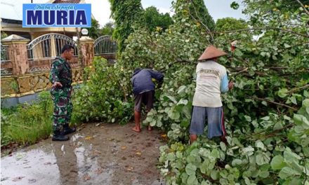 Angin Kencang Tumbangkan Pohon di Desa Mulyorejo Demak