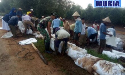 Cegah Banjir Warga Dukuhseti Pati , Buat “Galengan” di Sungai Silugonggo Kenanti