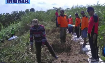 Antisipasi Luapan Sungai Wulan , Bantaran Kali Desa Pecuk dan Jleper Demak di Bersihkan
