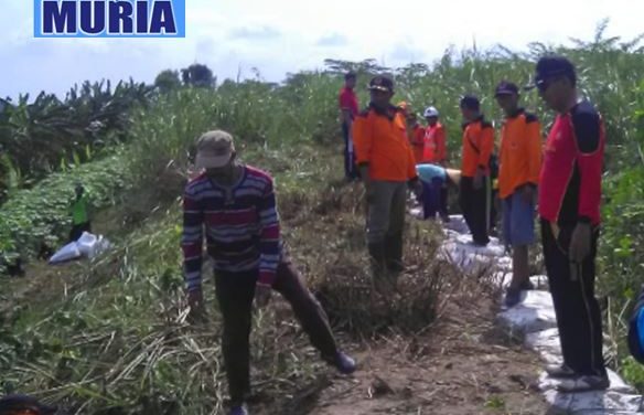 Antisipasi Luapan Sungai Wulan , Bantaran Kali Desa Pecuk dan Jleper Demak di Bersihkan