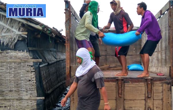 Kini Garam Demak Kualitasnya Bagus , Diminati Pengusaha Luar Jawa