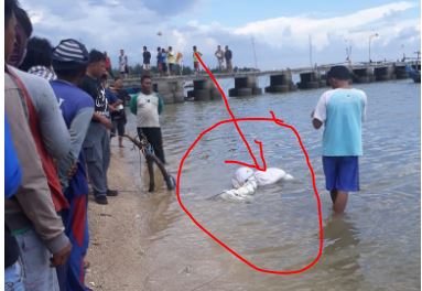 Mayat Perempuan Dalam Karung di Jepara Korban Pembunuhan asal Kendal