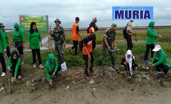 Cegah Abrasi Pantai Sumur Towo Desa Kembang Pati Di Tanami Mangrove