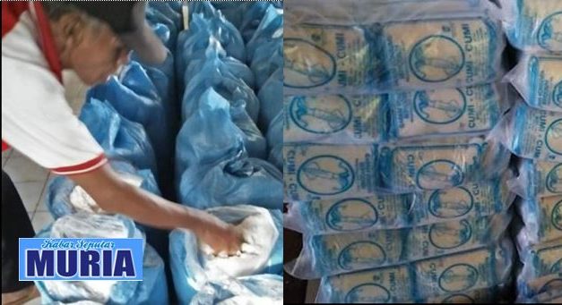 Garam Iodium ” Cumi-Cumi ” dari Demak , Siap Edar ke Seluruh Indonesia