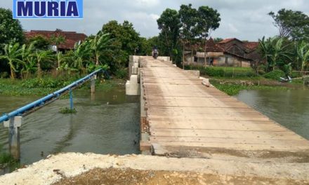 Asyik !!!! Lewat Jembatan Sasak Ndoro Payung Kaliombo Jepara  Tak Bayar Lagi