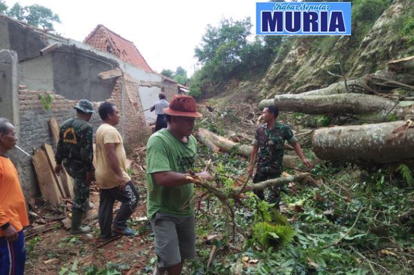 Angin Kencang Di Pati , Robohkan Pohon Tua Timpa 2 Rumah Warga Desa Pakem