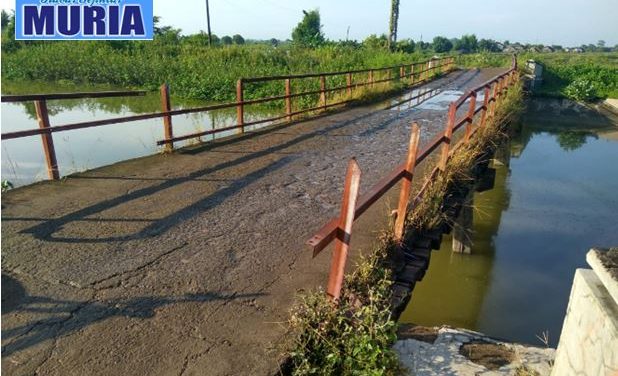 Jembatan Tedunan – Kendalasem Demak , Saatnya Untuk diperbaiki