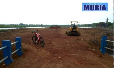 Di Desa Babalan Demak Ada Tanah Kapling,Solusi Bagi Yang Belum Punya Rumah