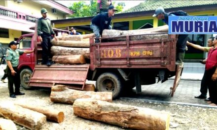 Polres Blora dan Perhutani Amankan 45 Batang Kayu Jati Yang di Duga Hasil Curian