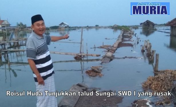 Talud Sungai SWD I Kedungmutih Demak Jebol , Petambak Kesulitan Produksi Garam