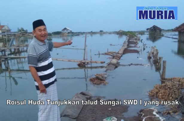 Talud Sungai SWD I Kedungmutih Demak Jebol , Petambak Kesulitan Produksi Garam