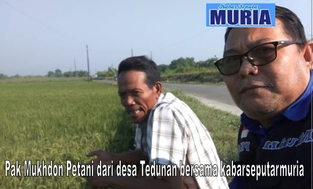 Pak Muhdhon  Warga Desa Tedunan, Tak Takut Rugi Sebagai Petani