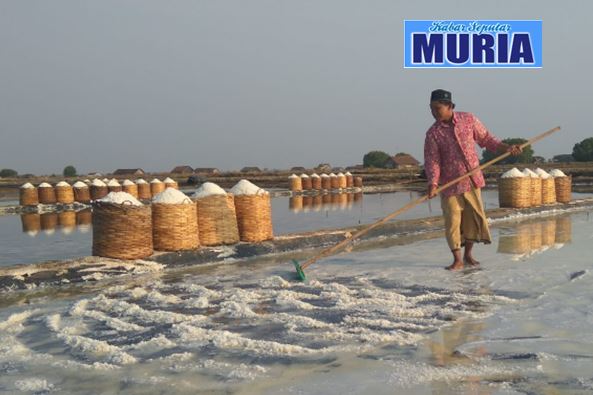 Ini 6 Daerah Penghasil Garam Terbesar, Jokowi : NTT Punya Garam Berkualitas Bagus